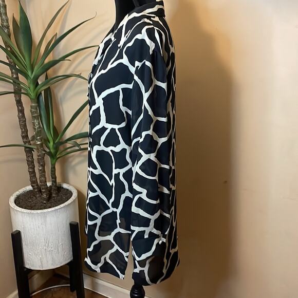 Vintage Petite Sophisticate sheer button tunic - Picture 3 of 9